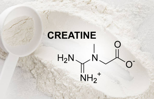 How Long Does Creatine Last.png
